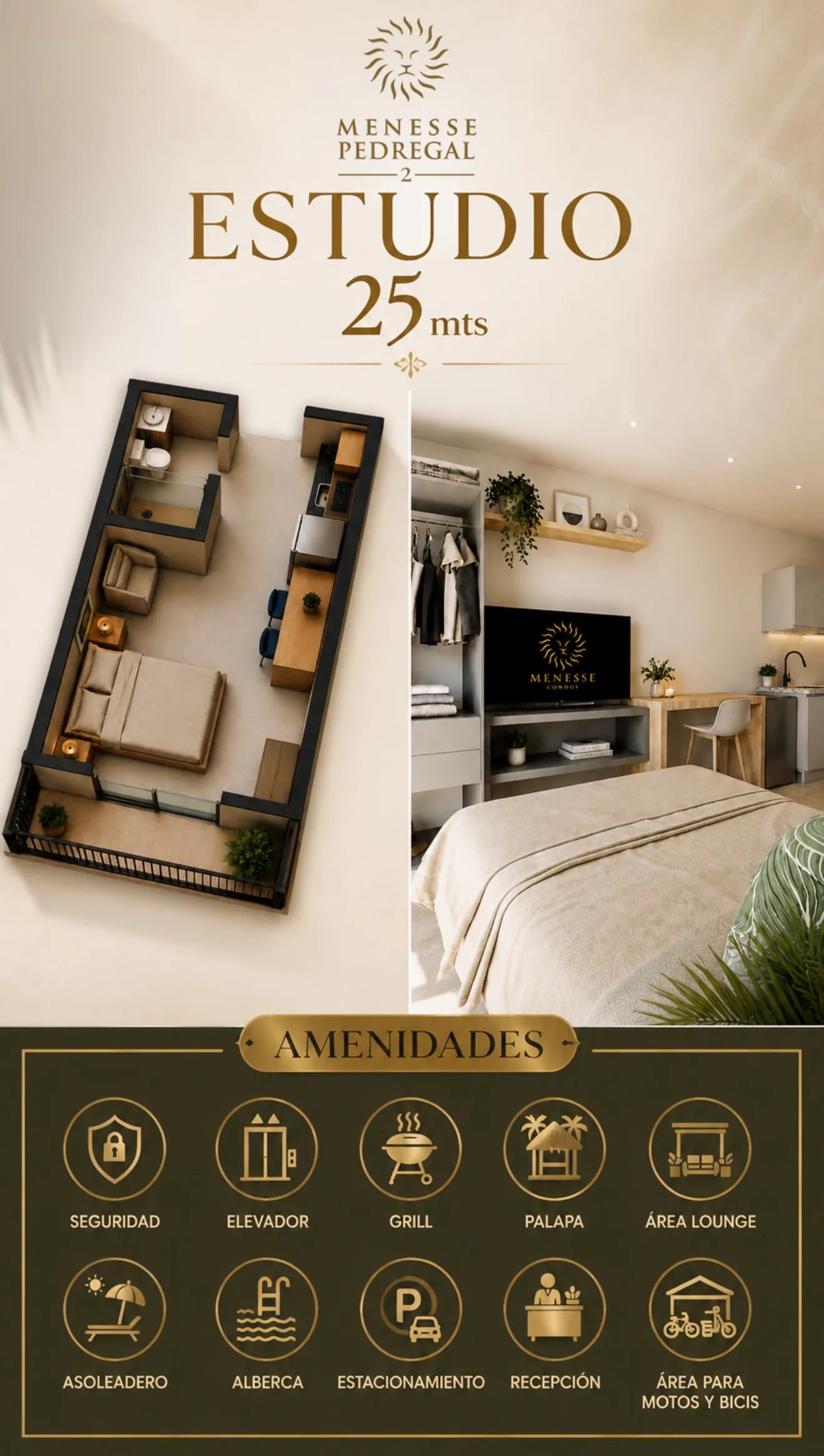 STUDIO PEDREGAL 2